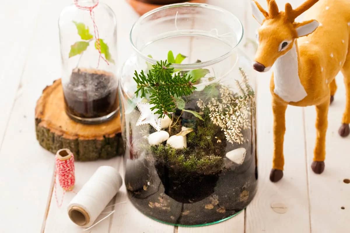 Las w słoiku jak zrobić z dzieckiem – kreatywna zabawa i nauka